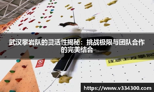 武汉攀岩队的灵活性揭秘：挑战极限与团队合作的完美结合
